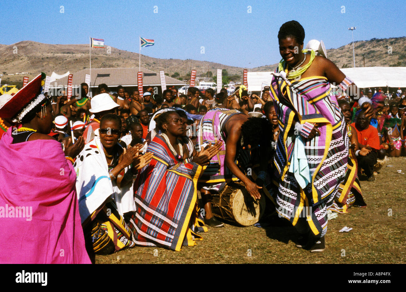 м*е様 セントポーリア PT Reed Dance The Zulu Reed Dance - Zulu Culture - YouTube