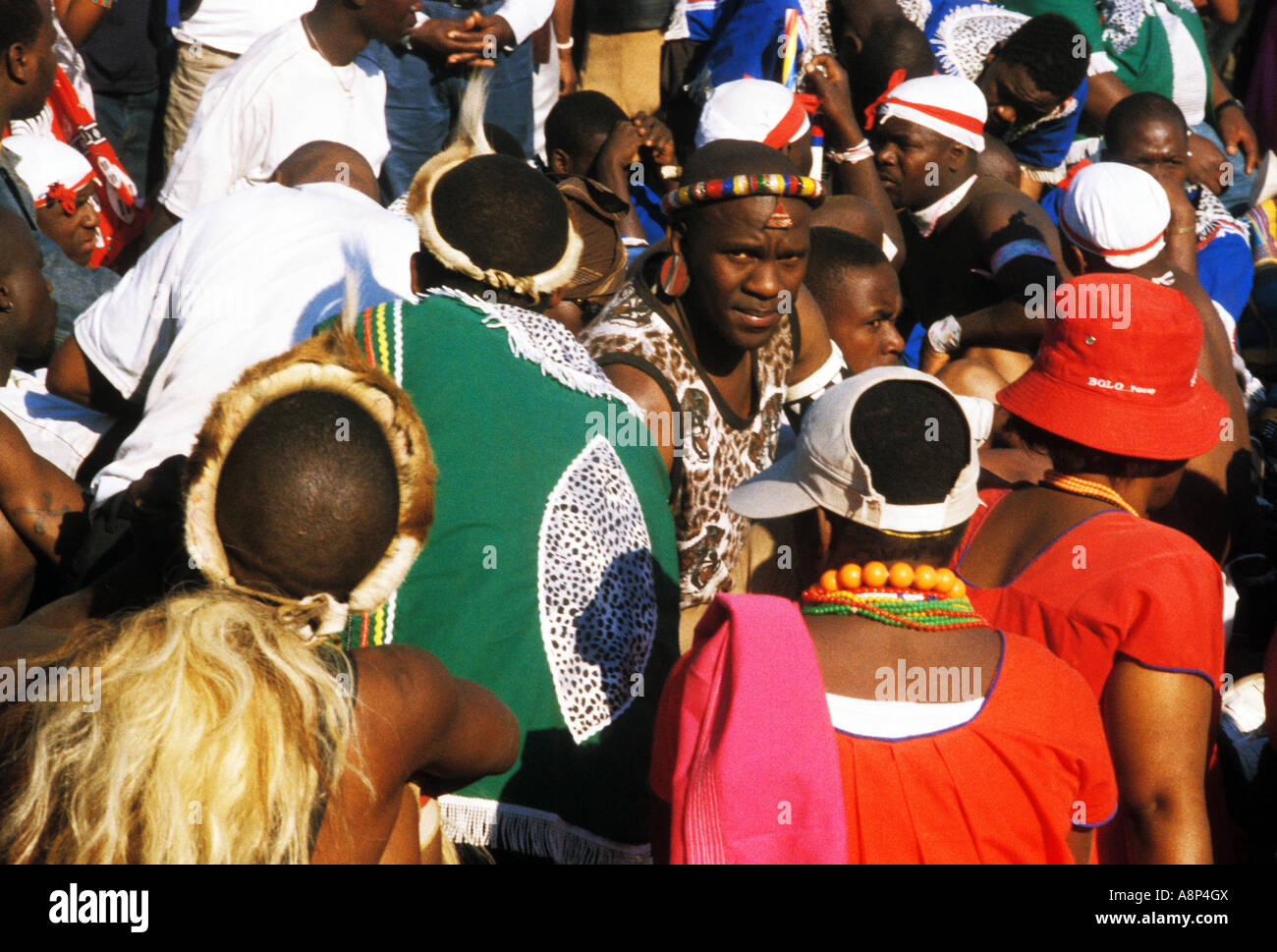 South Africa Zulu Reed Dance Ceremony Zulu Reed Dance