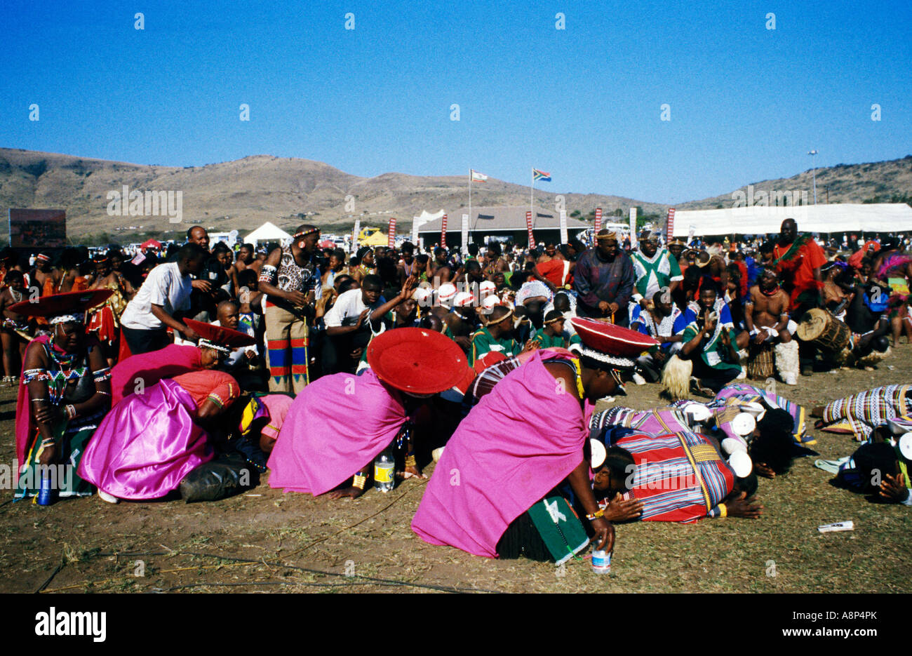 Zulu reed dance ceremonial participants hi-res stock