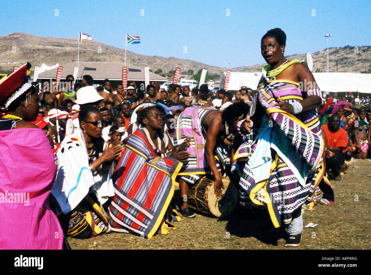 Zulu reed dance ceremonial participants hi-res stock