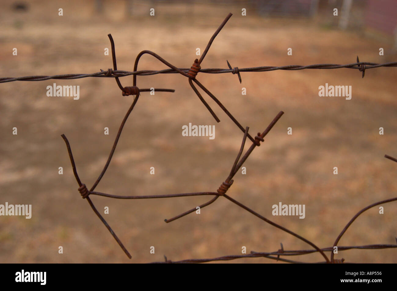 barb wired fence Stock Photo