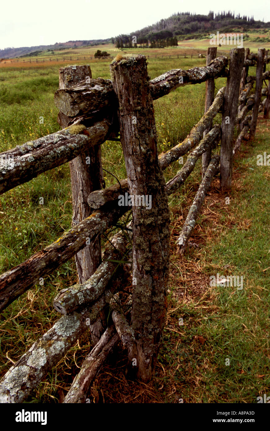 Brokendown wooden post horse fence, Lanai, Hawaii, USA Stock Photo Alamy