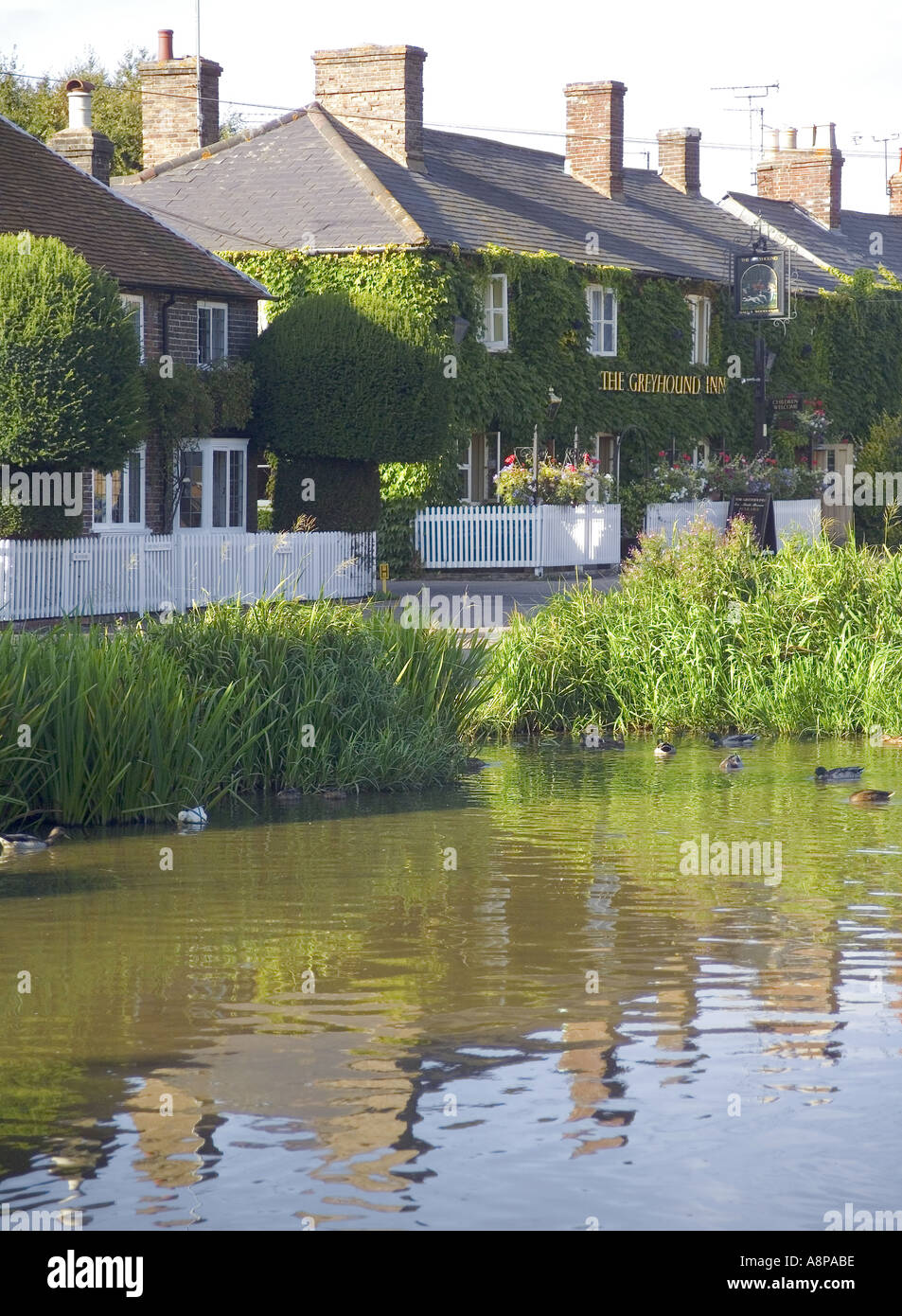 england hertfordshire buckinghamshire the chilterns albury village pond
