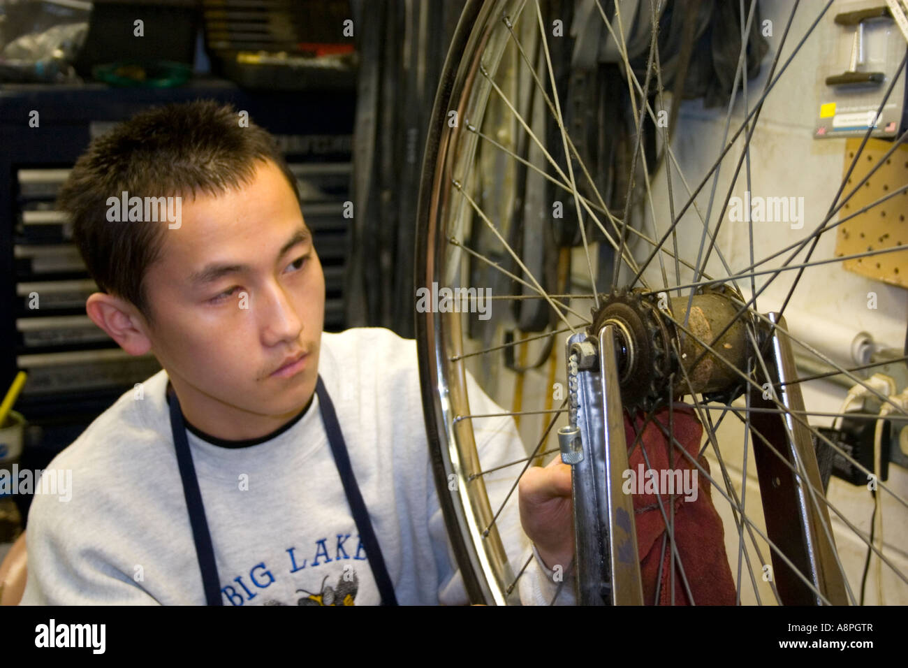 Asian American worker making a bike wheel repair. Youth Express Bike