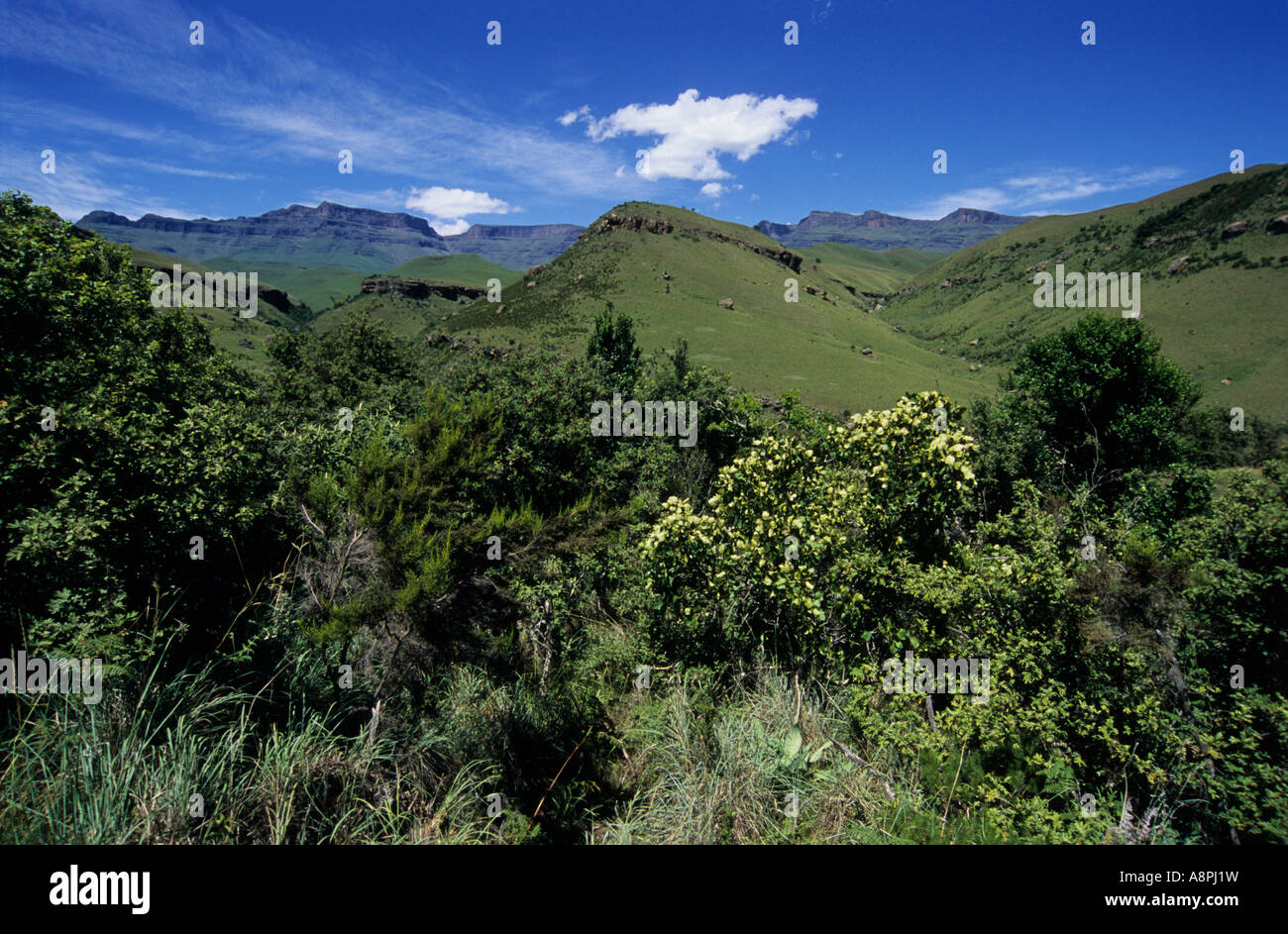 Mountains, landscape, Cathedral Peak nature park, Drakensberg,  Ukhahlamba World Heritage site, KwaZulu-Natal, South Africa, UNESCO Stock Photo