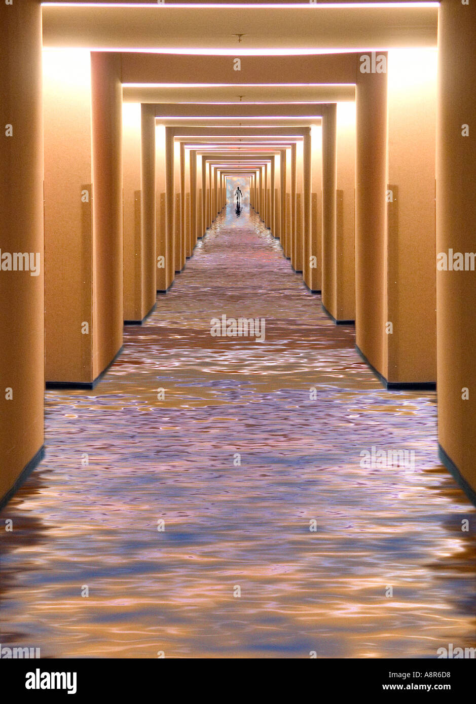 Walk In Hall Walk through the cross hall hi-res stock photography and images - Alamy