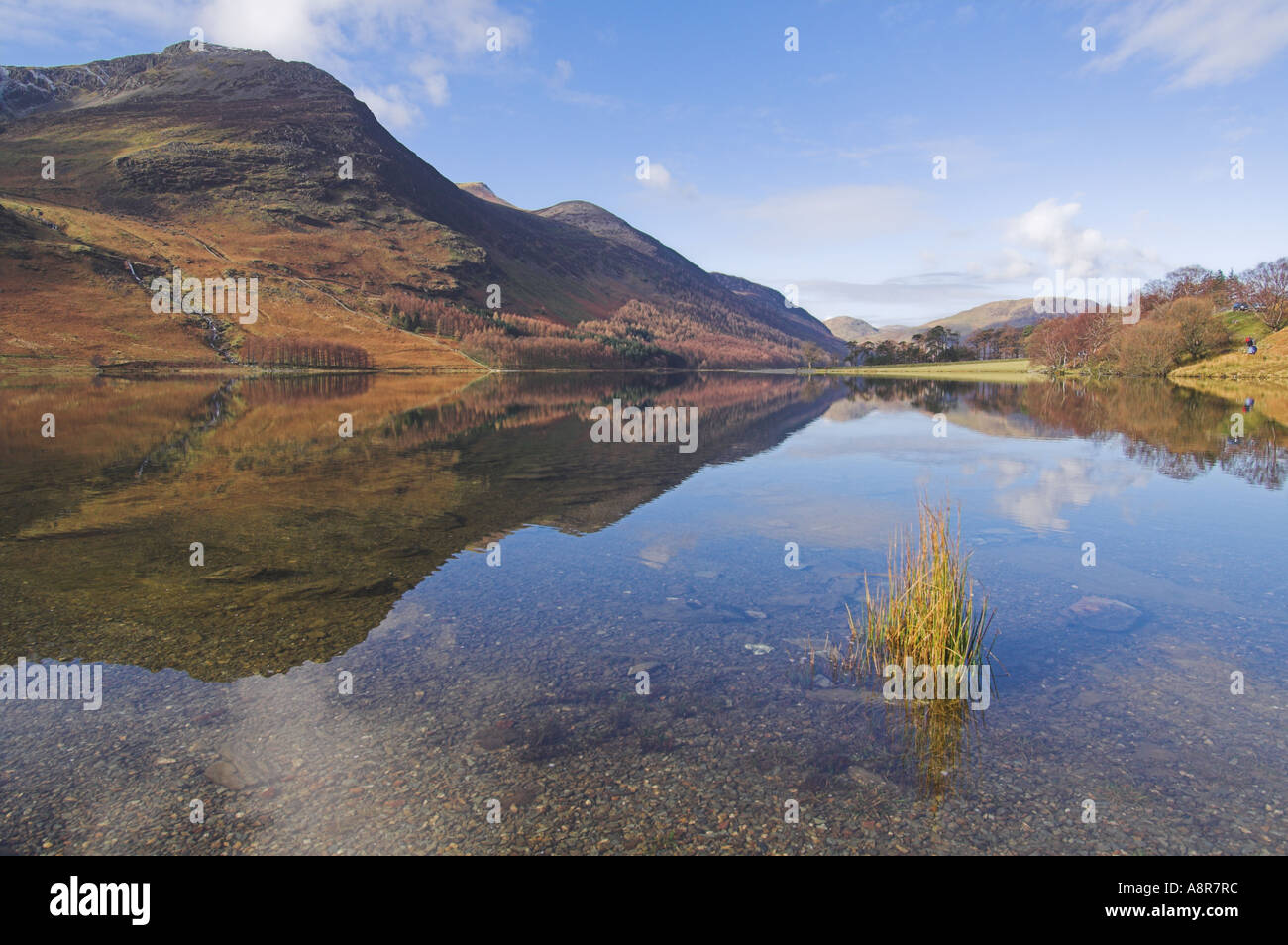 Buttermere still and mirrored Lake District National Park Cumbria ...