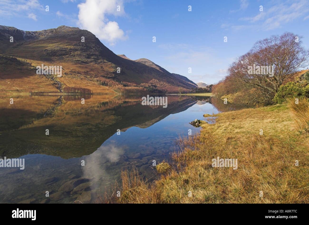 Buttermere still and mirrored Lake District National Park Cumbria ...