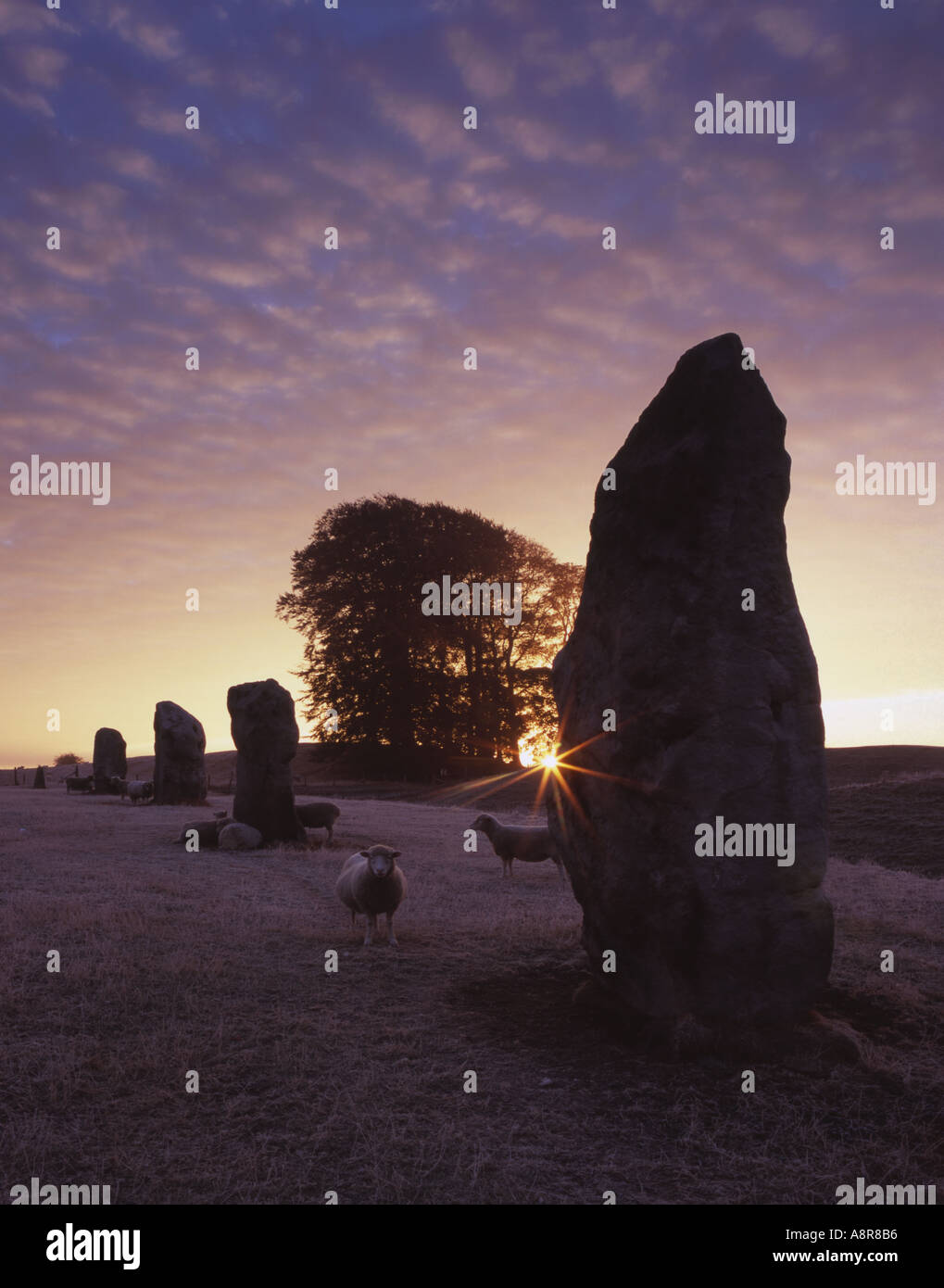 Standing Stones at Avebury Wiltshire Stock Photo