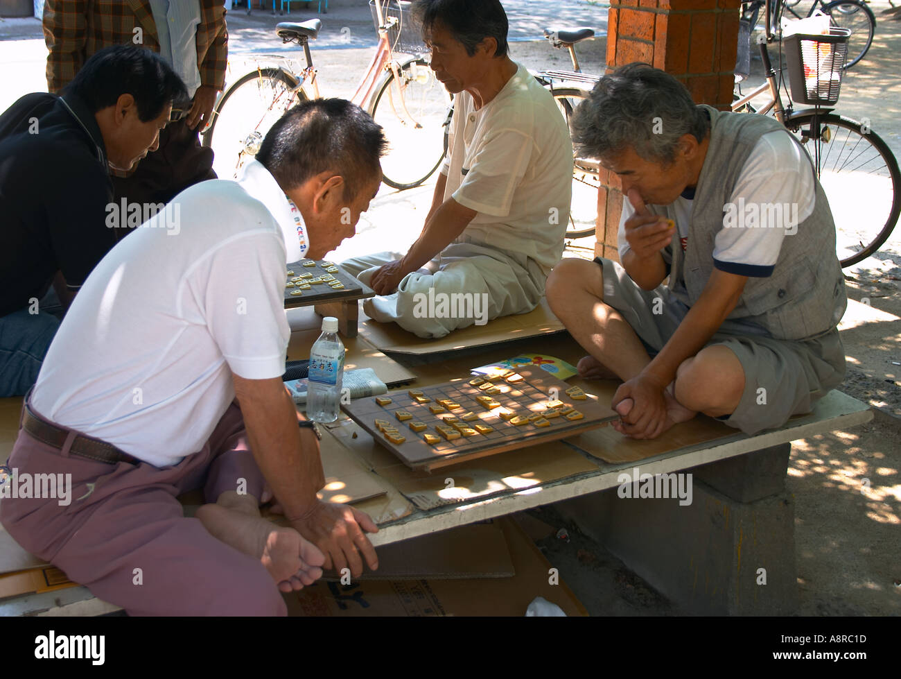 Japanese Chess Stock Photo - Download Image Now - Shogi, Human Hand,  Playing - iStock