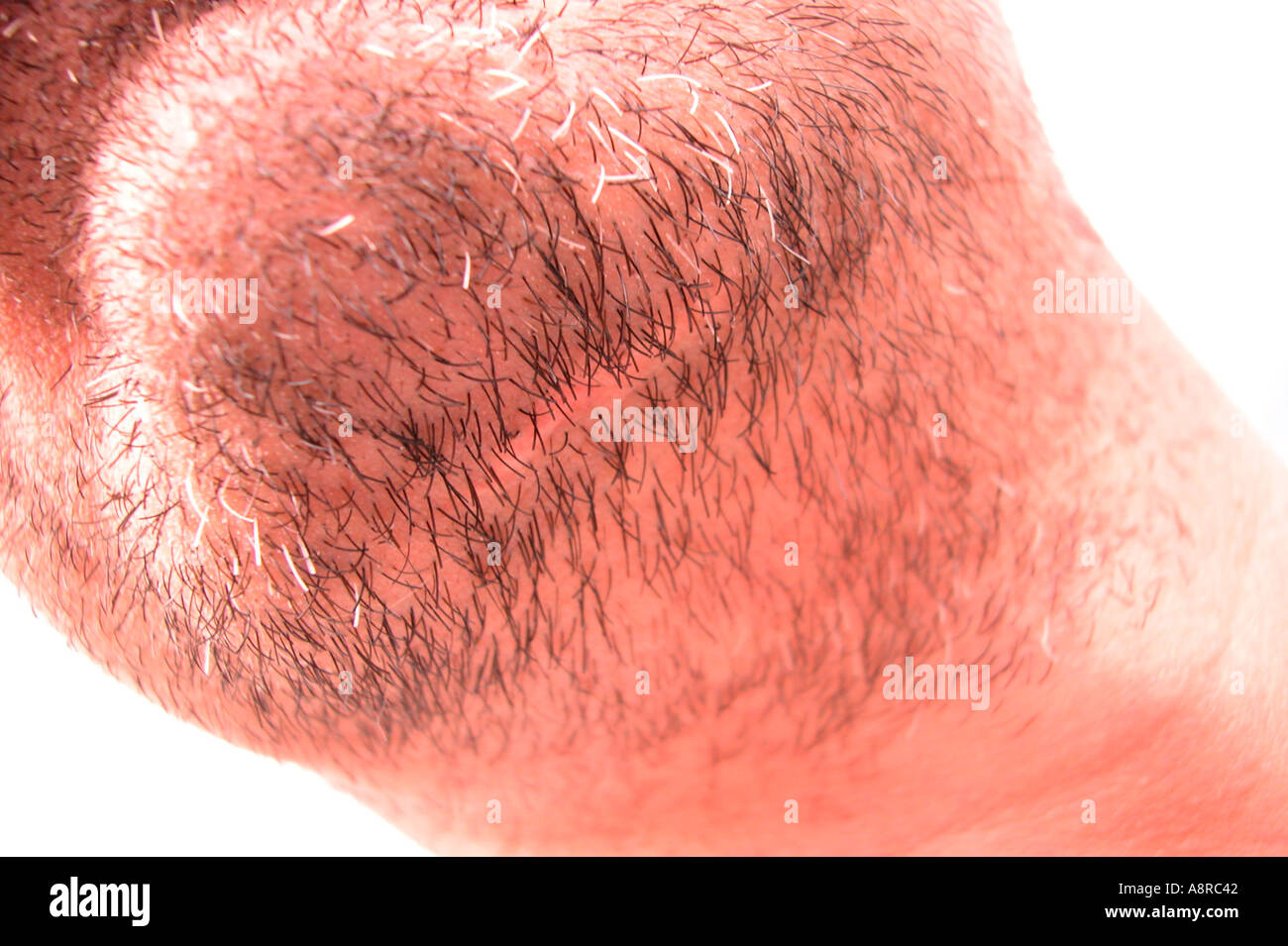 MR chin with beard Stock Photo