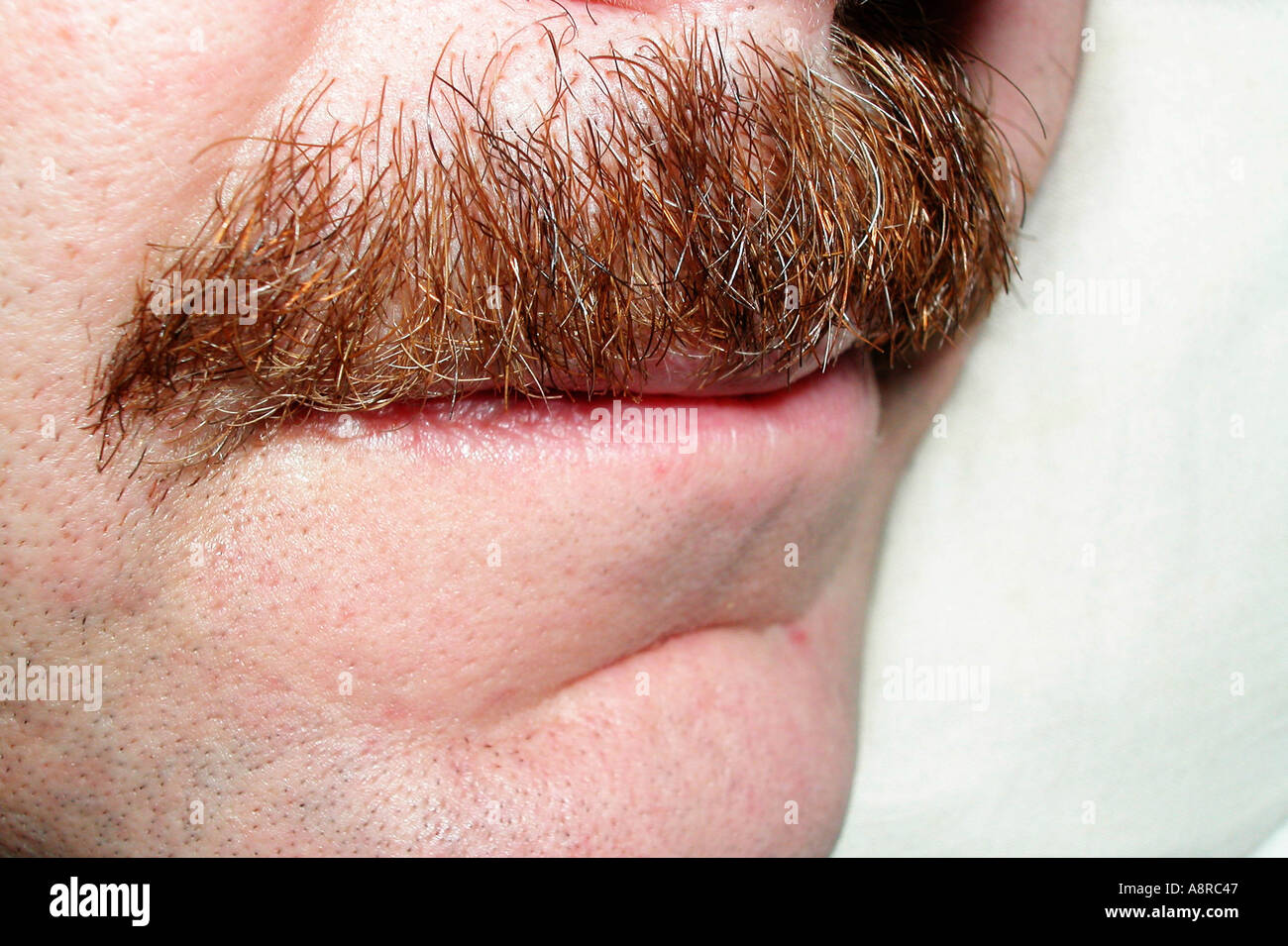 MR man with beard moustache Stock Photo