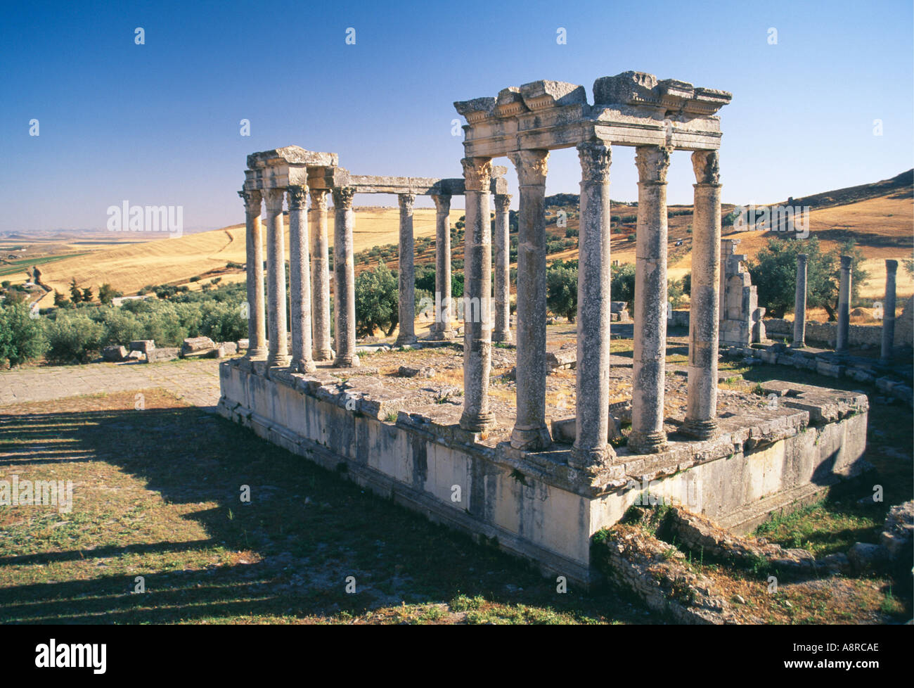 Temple jupiter capitoline hires stock photography and images Alamy