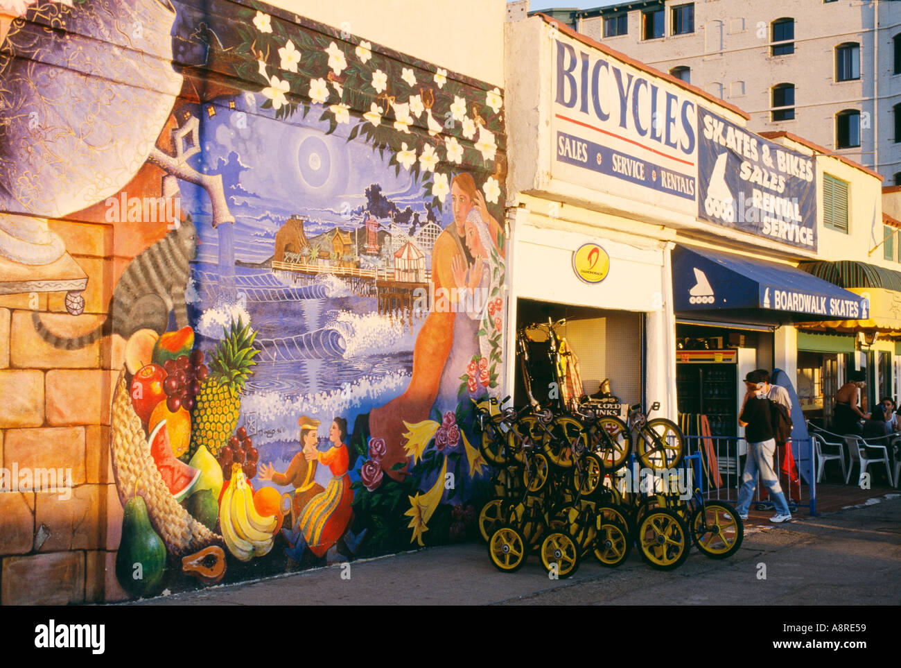 the bike shop santa monica