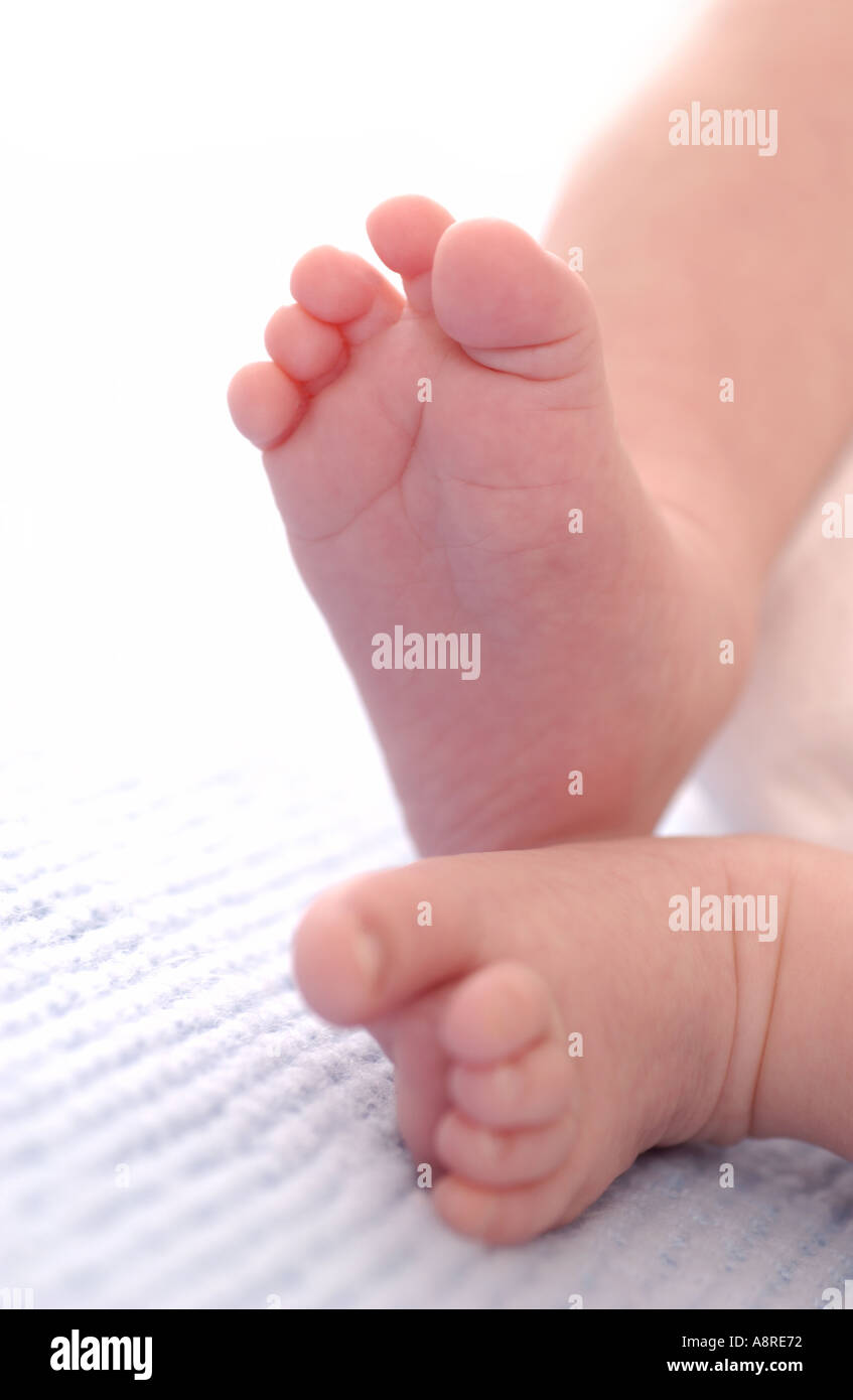 Newborn baby feet Stock Photo Alamy