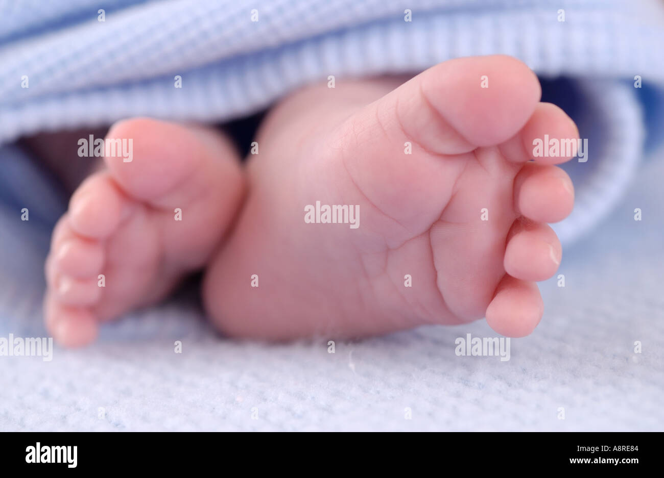 Newborn baby feet Stock Photo Alamy