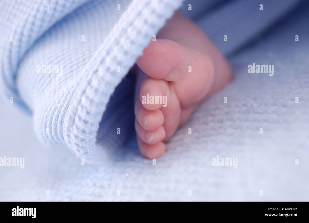 Newborn baby foot Stock Photo Alamy