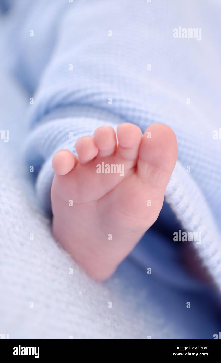 Newborn baby foot Stock Photo Alamy