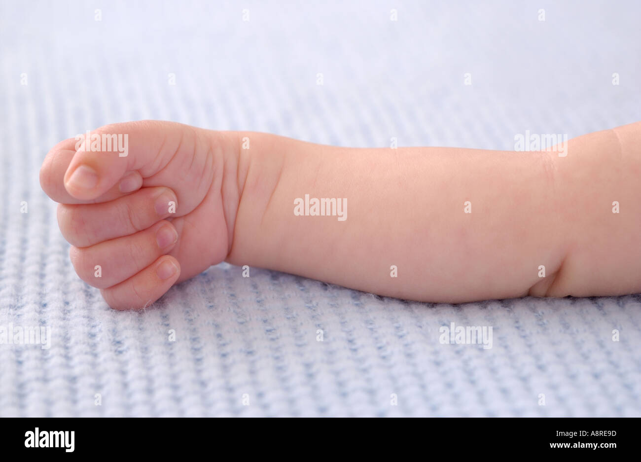 Newborn baby arm Stock Photo Alamy