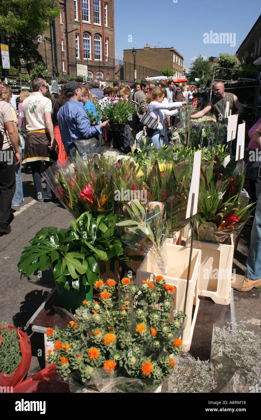 Columbia Road flower market London's famous Sunday morning flower