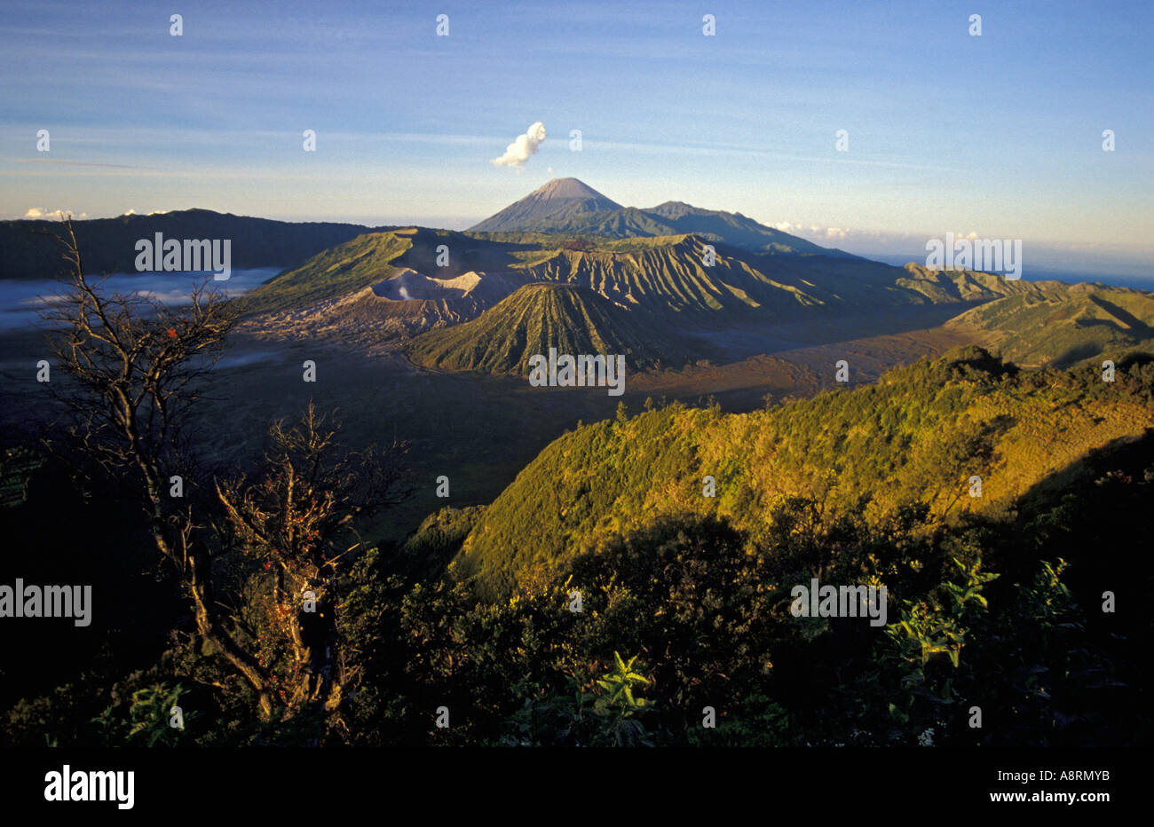 Volcanic Landscape of Mt Bromo in Indonesia Stock Photo - Alamy