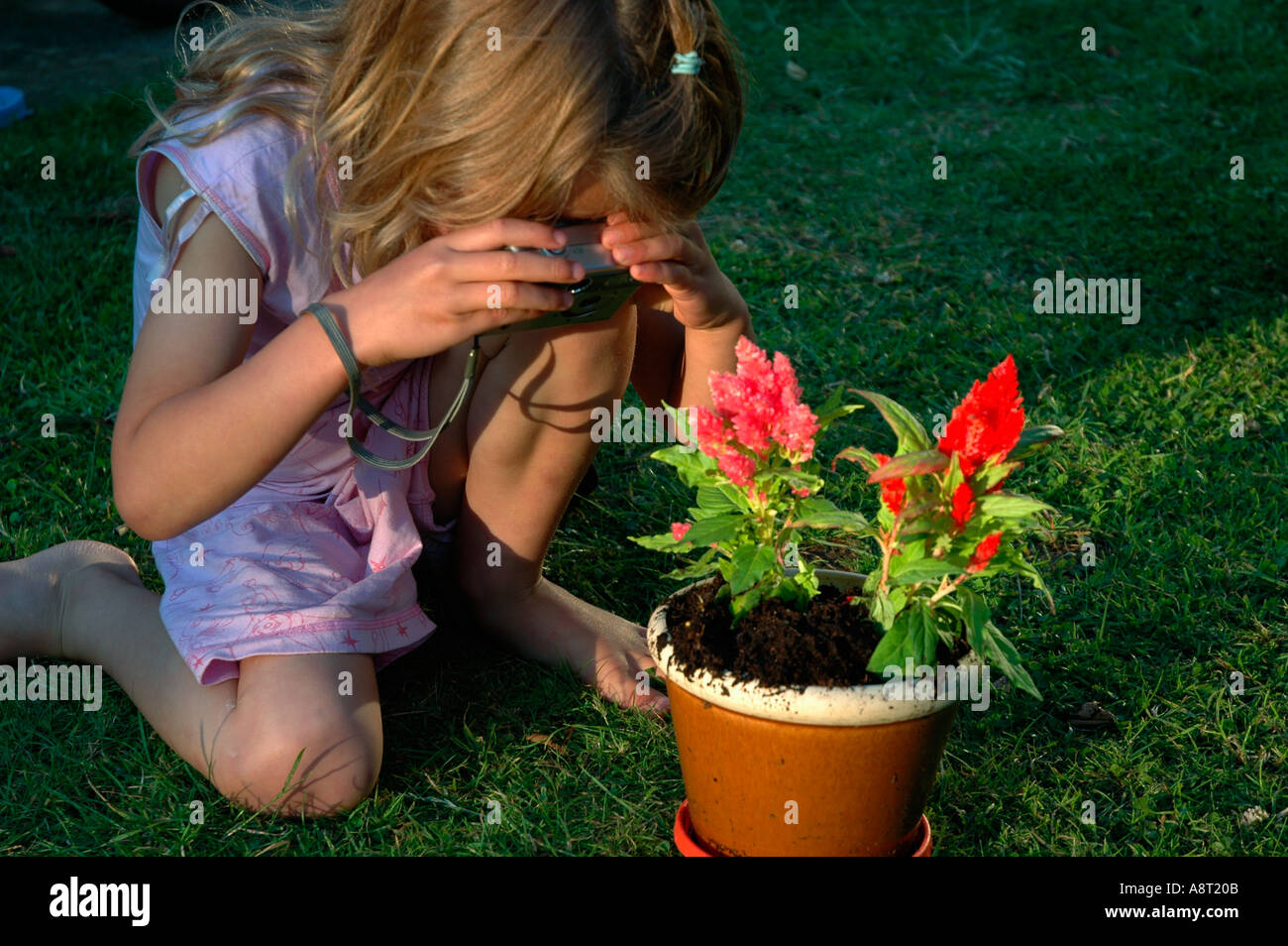 child taking photo of flowers with digital camera Stock Photo