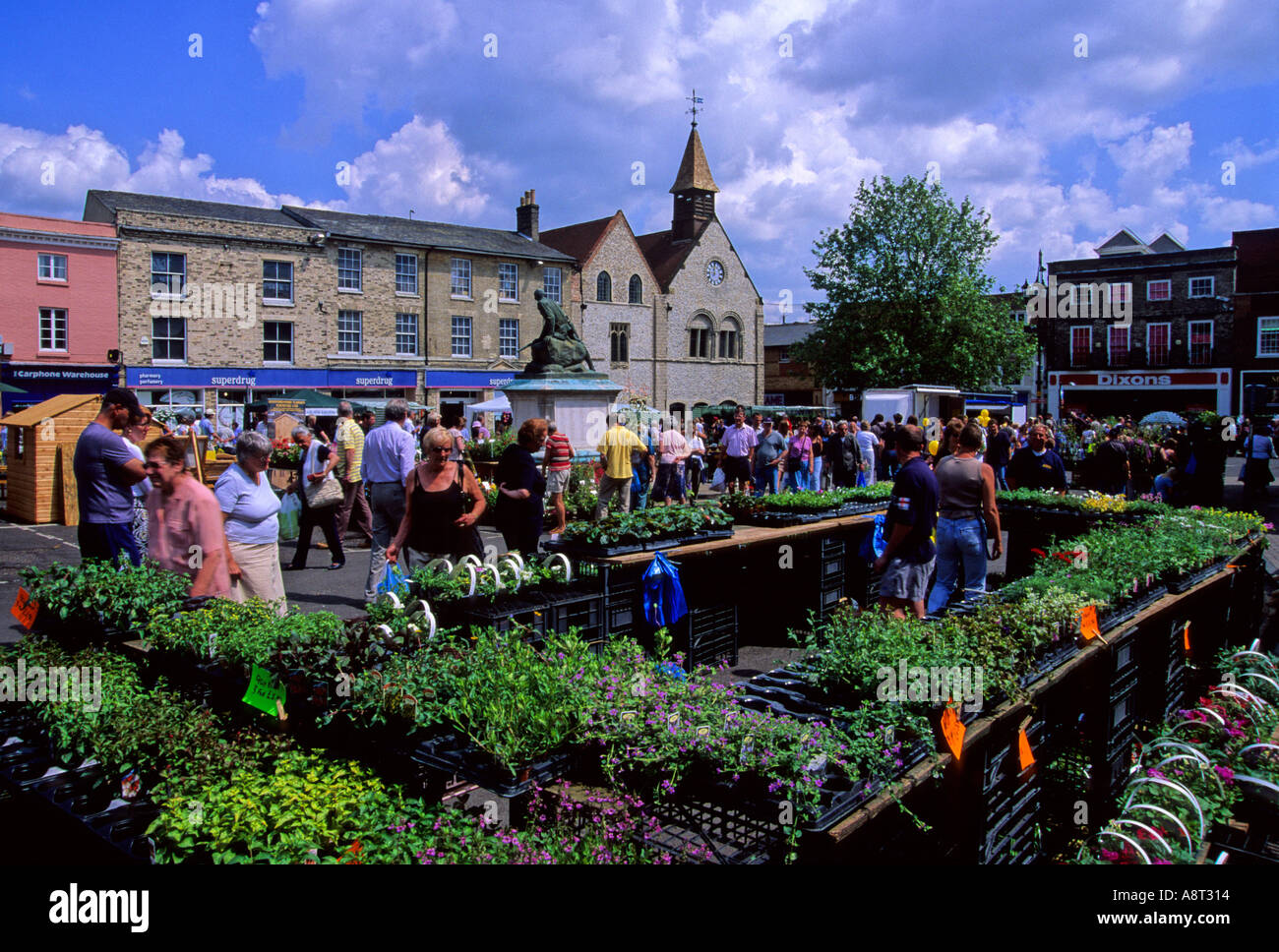 Flower market Bury St Edmunds Stock Photo Alamy