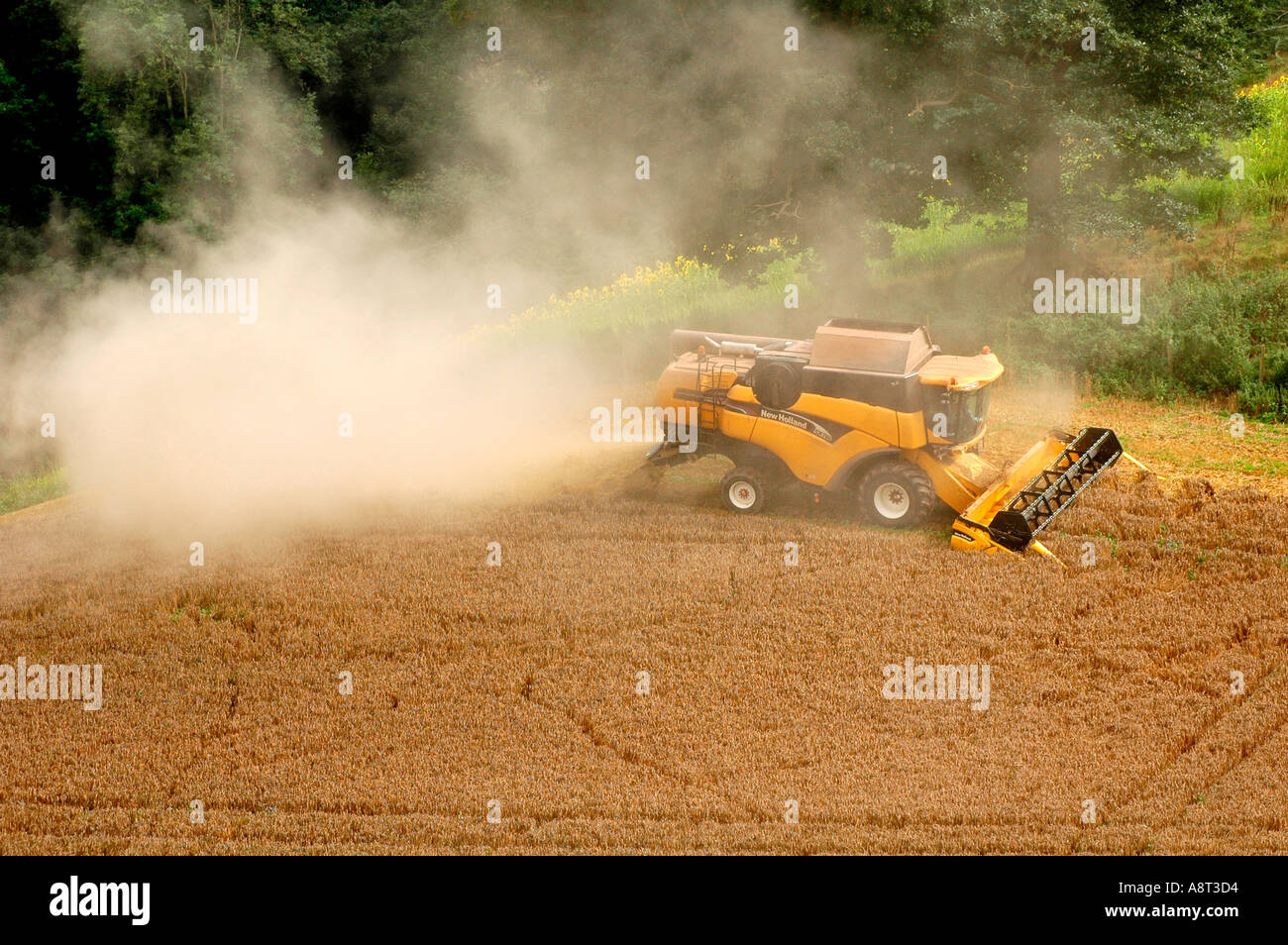 New Holland combine harvester cutting grain in a farm field at Goodrich
