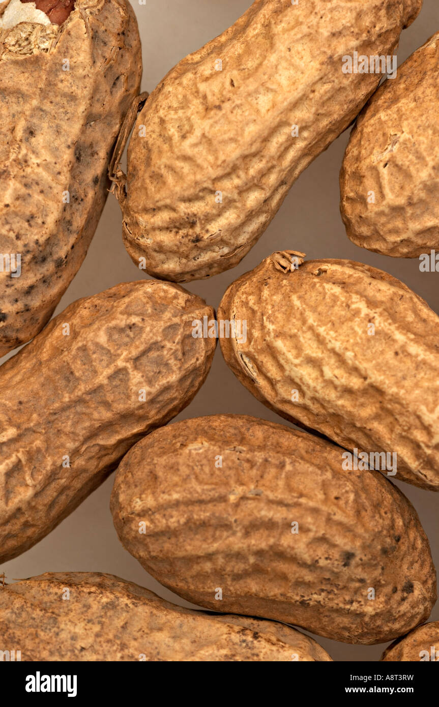 Peanuts in their shells peanuts are a source of concentrated protein