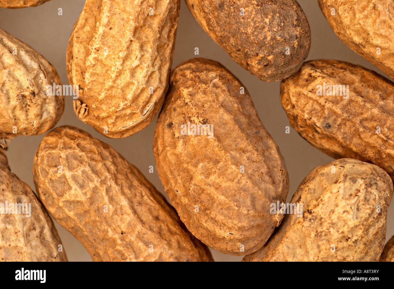 Peanuts in their shells peanuts are a source of concentrated protein