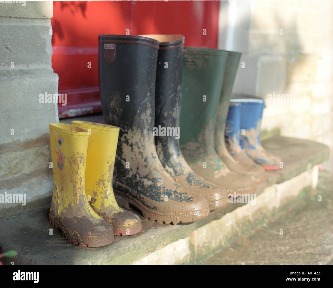 Healthy family concepts of colorful wellington boots on the home ...