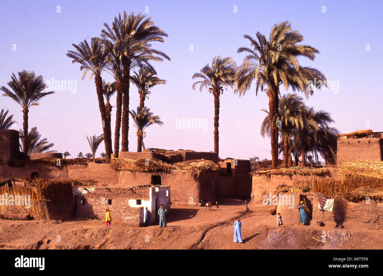Egypt village in valley hi-res stock photography and images - Alamy
