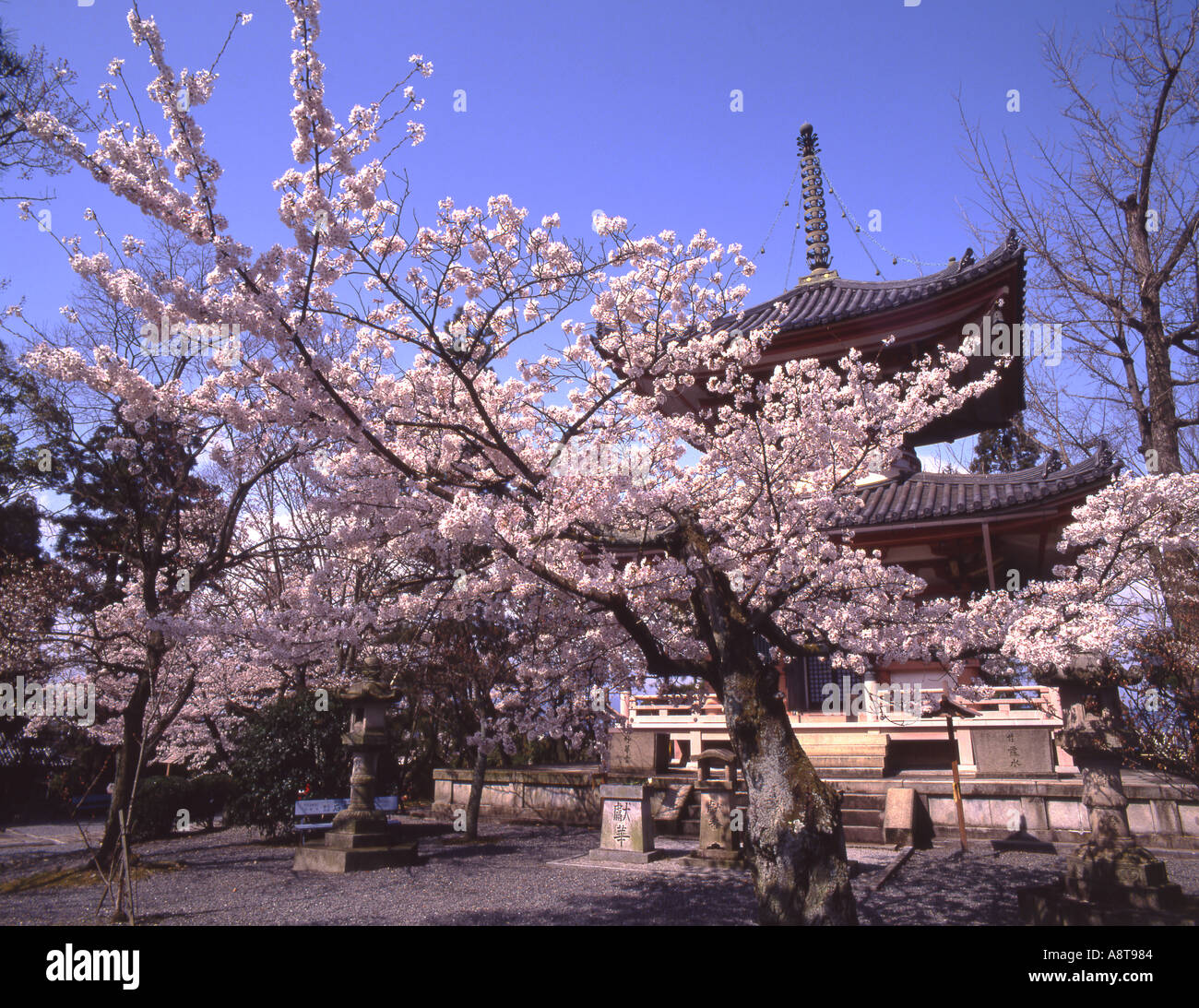 Japan Kyoto Chion in Temple Stock Photo - Alamy