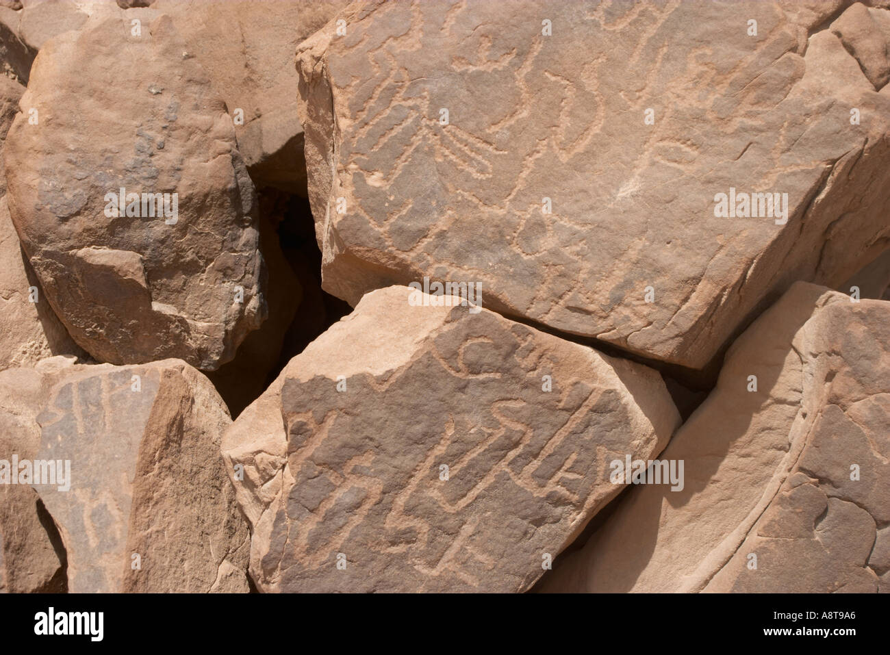 Nabataean writings in Wadi Mukkatab Desert of Sin Sinai Peninsula Egypt Stock Photo