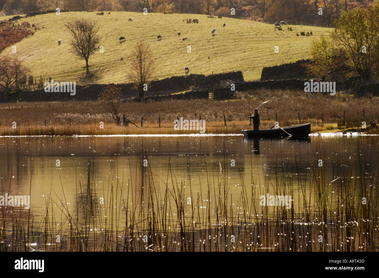 Fishing in the Lake District Stock Photo Alamy