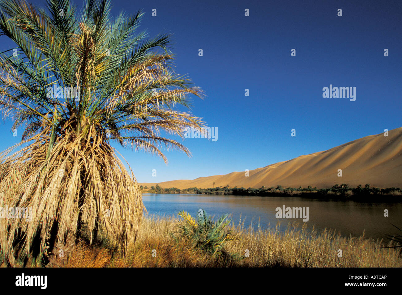 Lake Gebraoun, Ubari lakes, Libya, Sahara Stock Photo