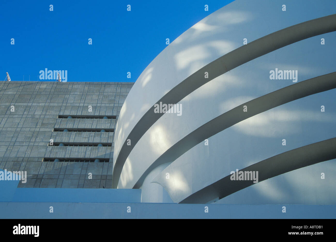 Front view of the Guggenheim Museum near Central park New York North America USA US Stock Photo