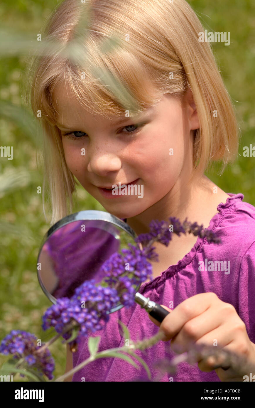 Flower Study Through a Magnifying Glass Stock Photo