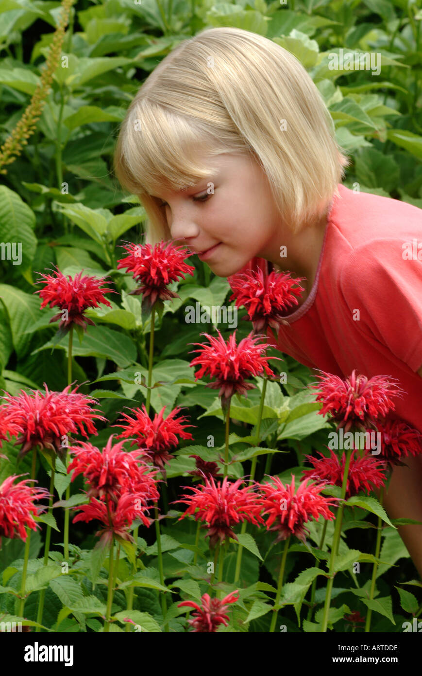 Smelling the Flowers Stock Photo