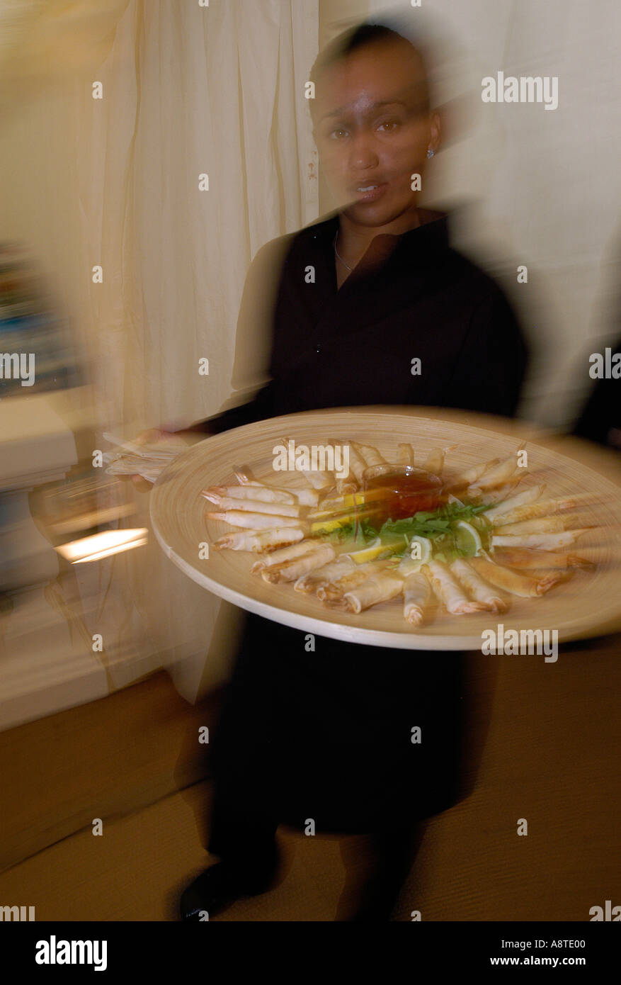 Waitress serving canapes hires stock photography and images Alamy
