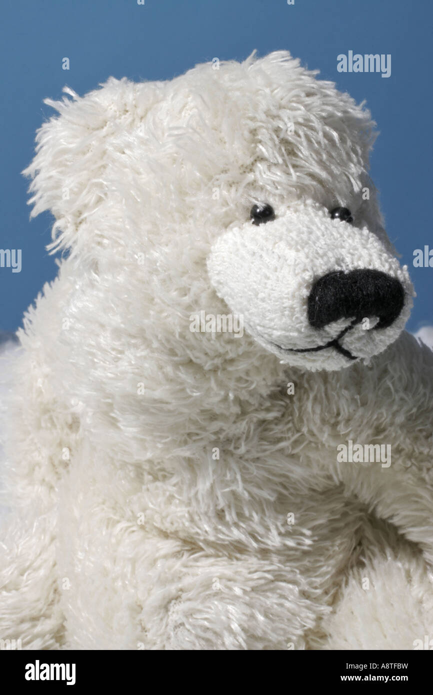 soft toy polar bear Stock Photo Alamy