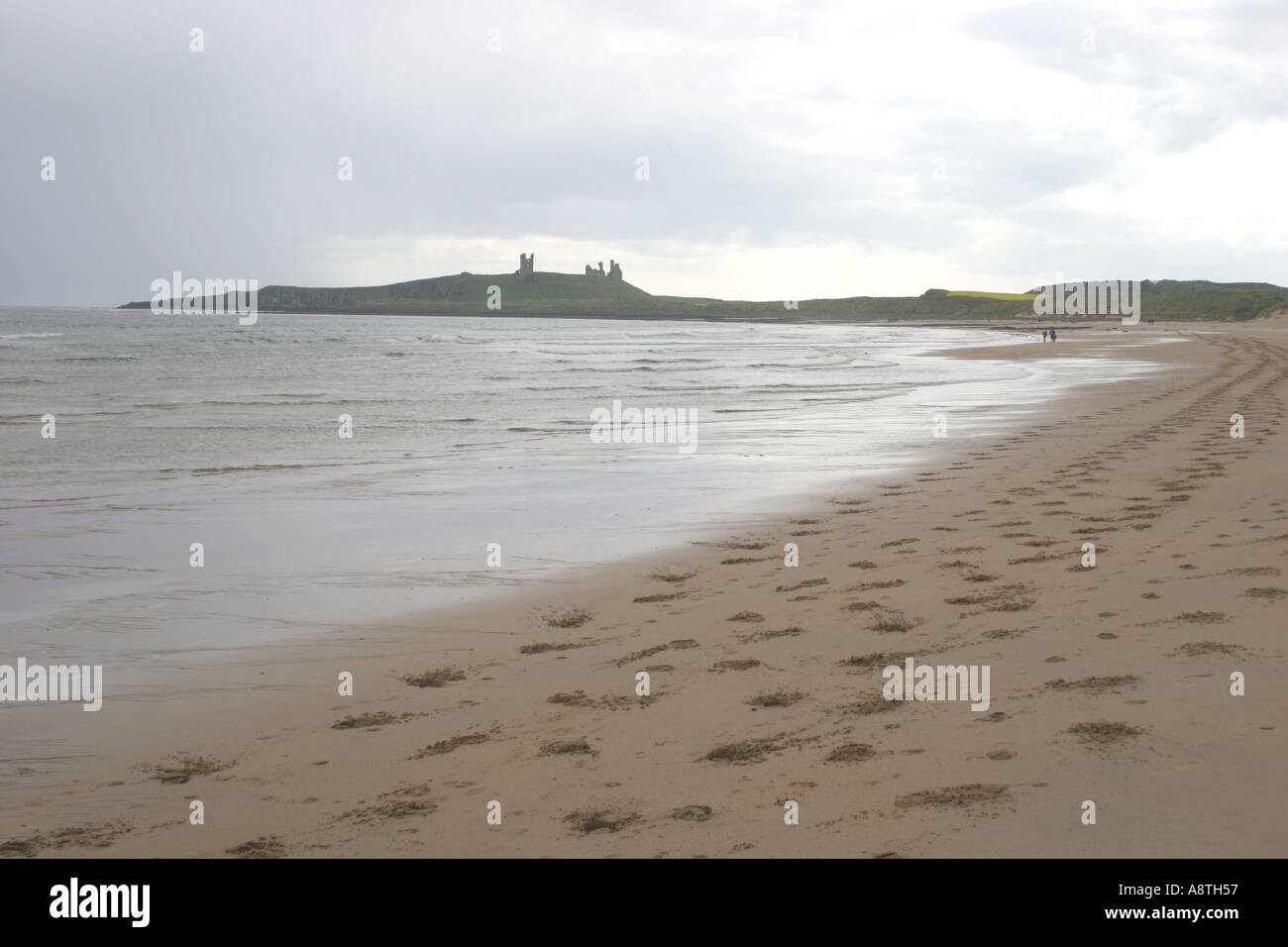 The beach at Newton by the sea Northumberland UK Stock Photo Alamy