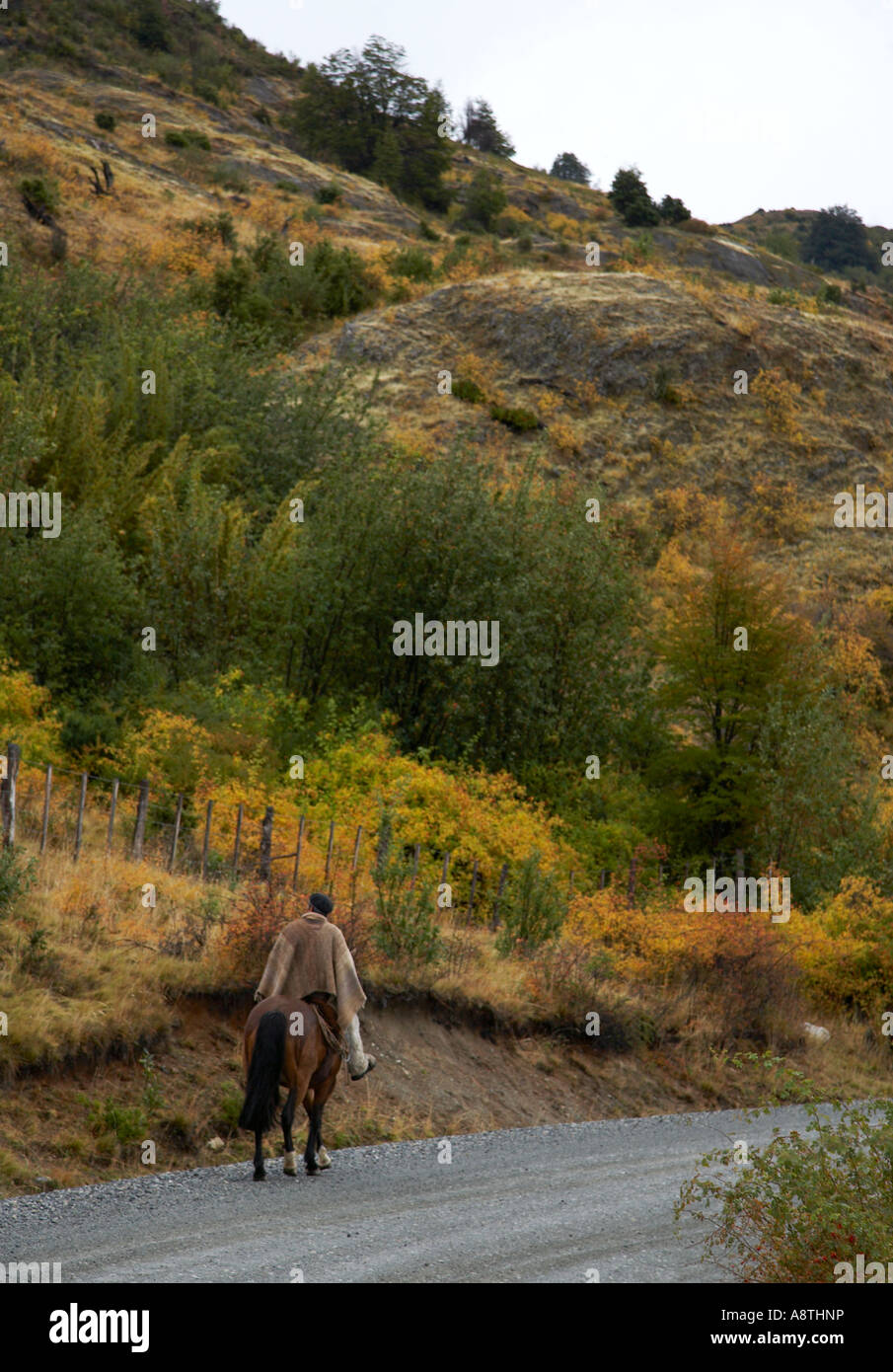 Gaucho on horse in lake district, Chile Stock Photo