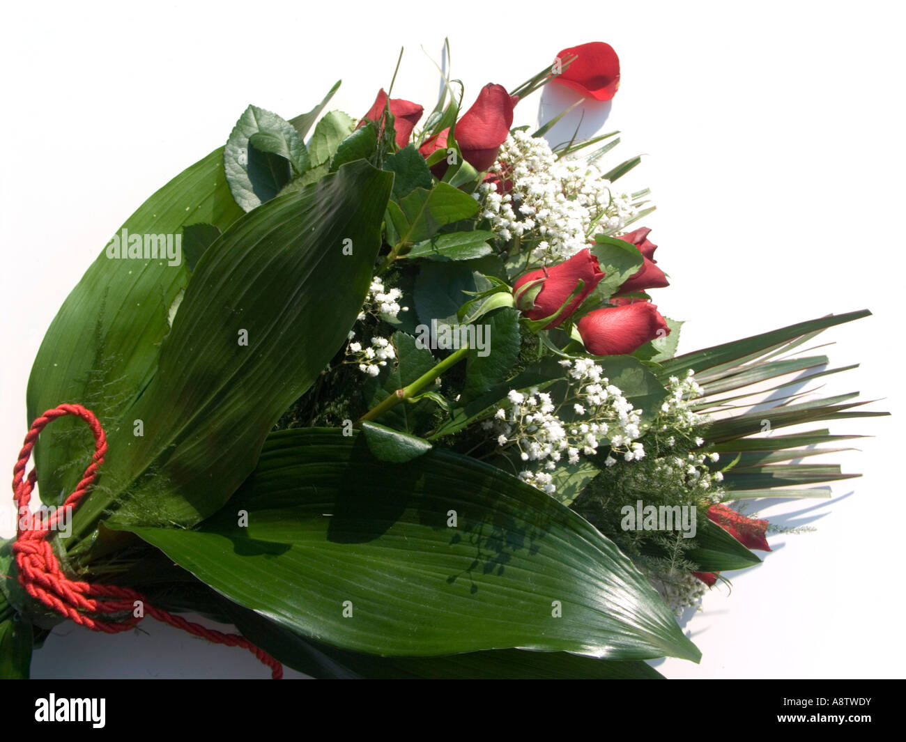 red roses bouquet on white background love conceptual Stock Photo - Alamy