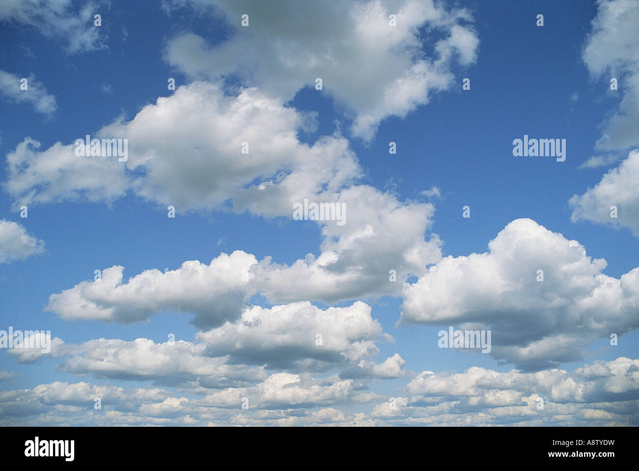 Scenic. Blue sky with cumulus clouds. Stock Photo