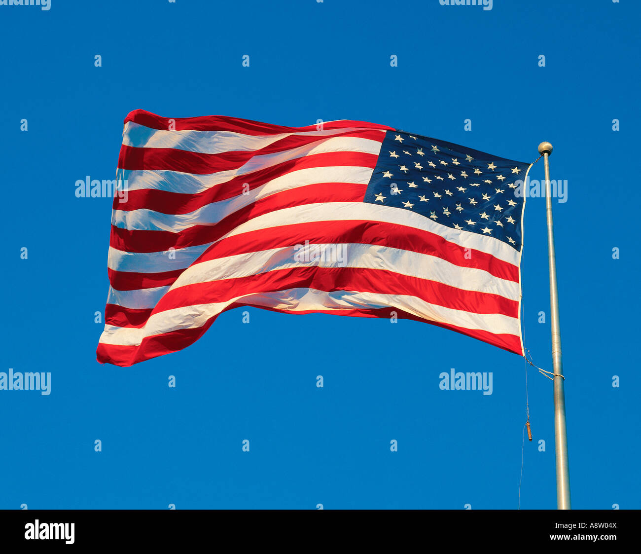 United States of America flag. "Stars and Stripes". Stock Photo