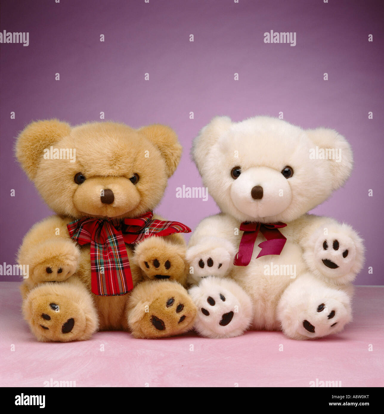 Studio still life of two soft toy Teddy Bears. Stock Photo