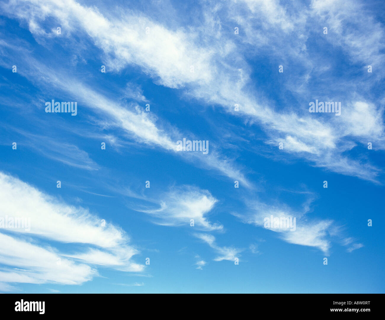 Environment nature Weather Sky Blue sky white clouds Stock Photo