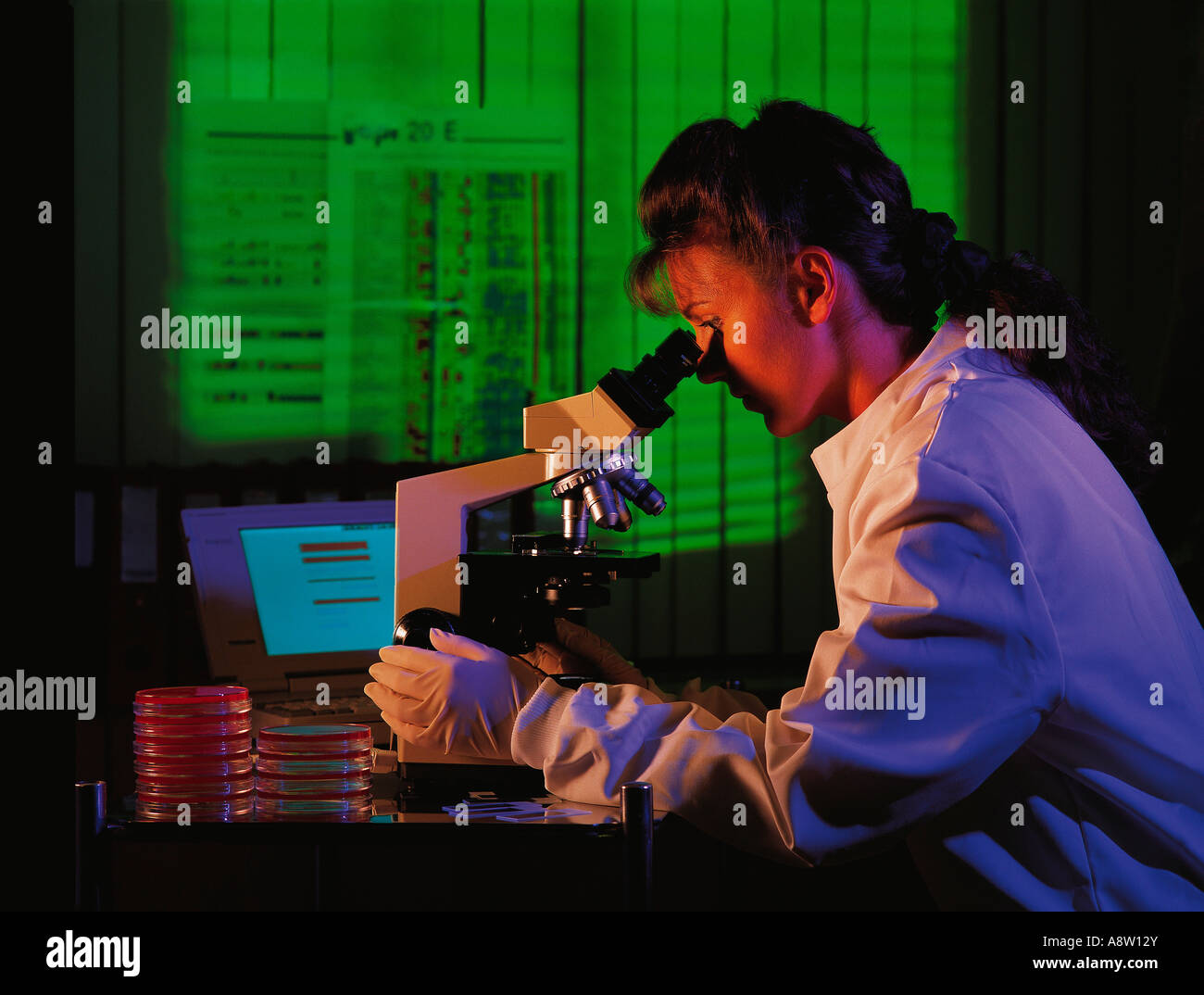 Side view indoors of young woman hospital laboratory technician using a microscope. Stock Photo