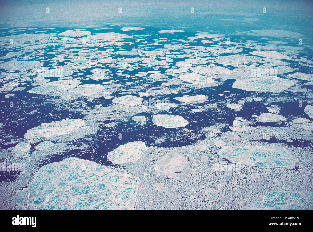 Greenland. East Coast. Frozen sea ice flows. Stock Photo